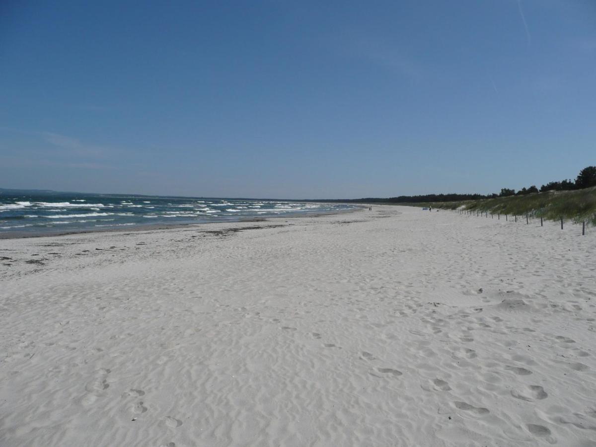 Ferienwohnung Mit Traumhaftem Meerblick - Haus Am Meer Fewo 01 洛米 外观 照片